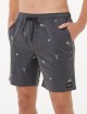 Costume Boardshort Volley Skelly Breach Black